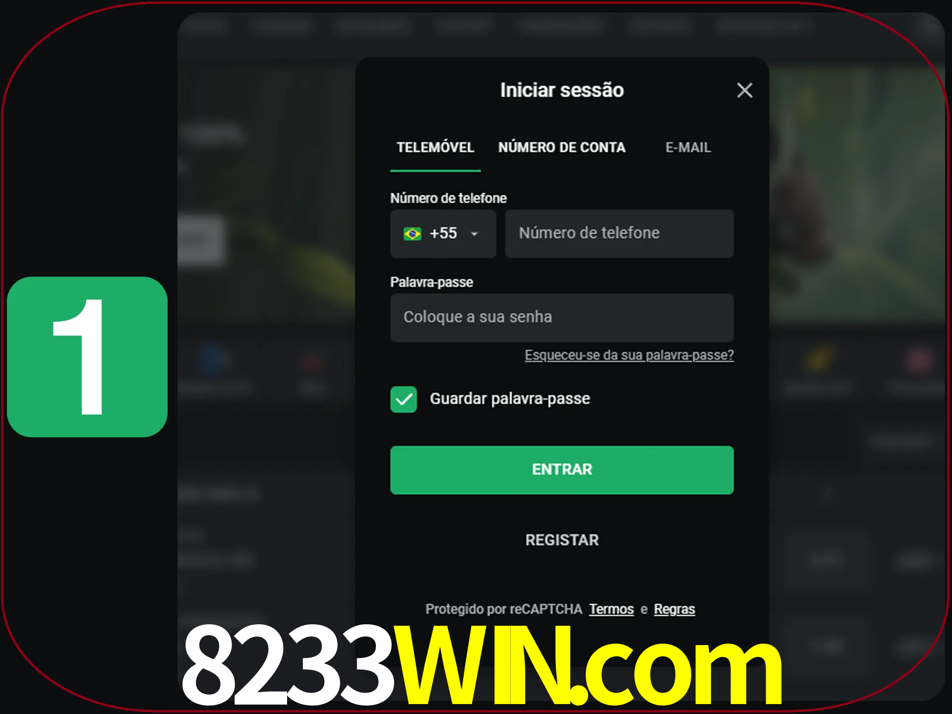 Clique no botão Entrar.